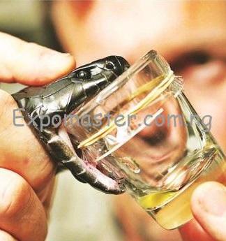 snake venom