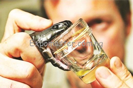 UNBELIEVABLE-BENEFITS-OF-SNAKE-VENOM