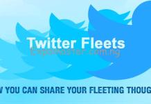 Twitter Fleets